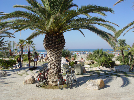 La Riviera delle Palme