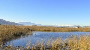 Riserva naturale Sentina